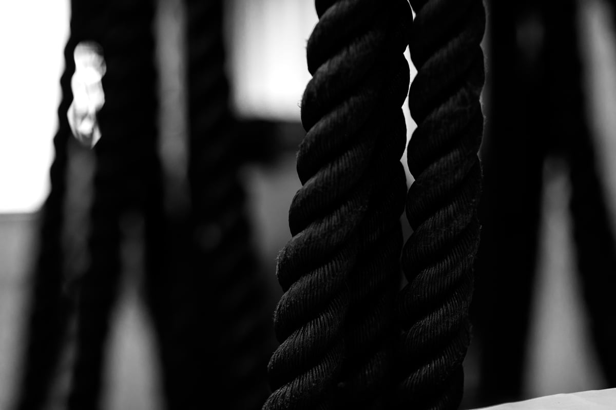 The Four Seasons Of Lifting – Part 3