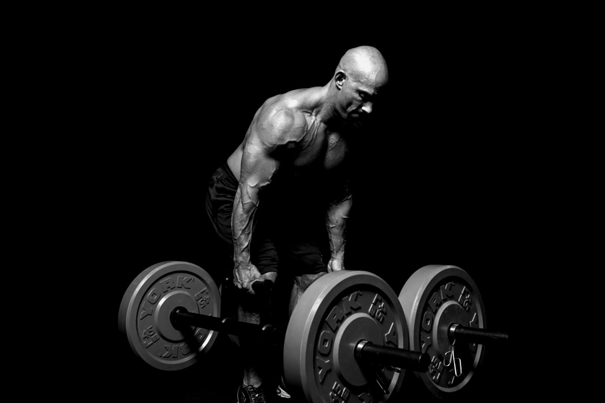 maximum_pump - Targeted Muscles doing Seated Row Machine